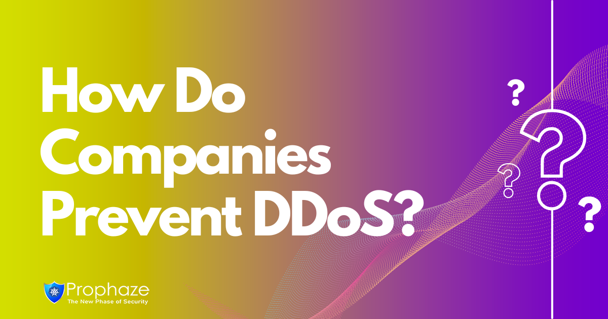 How Do Companies Prevent DDoS?