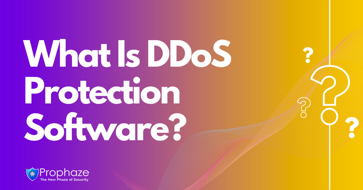 What Is DDoS Protection Software?