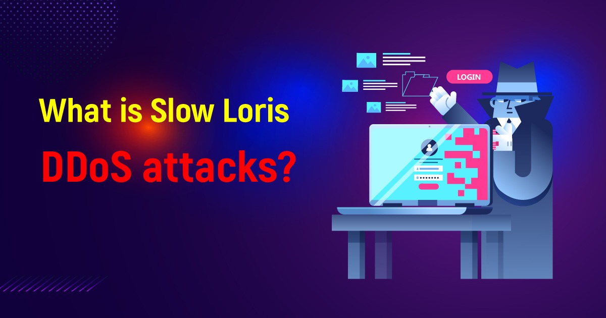 What Is SlowLoris DDoS Attacks