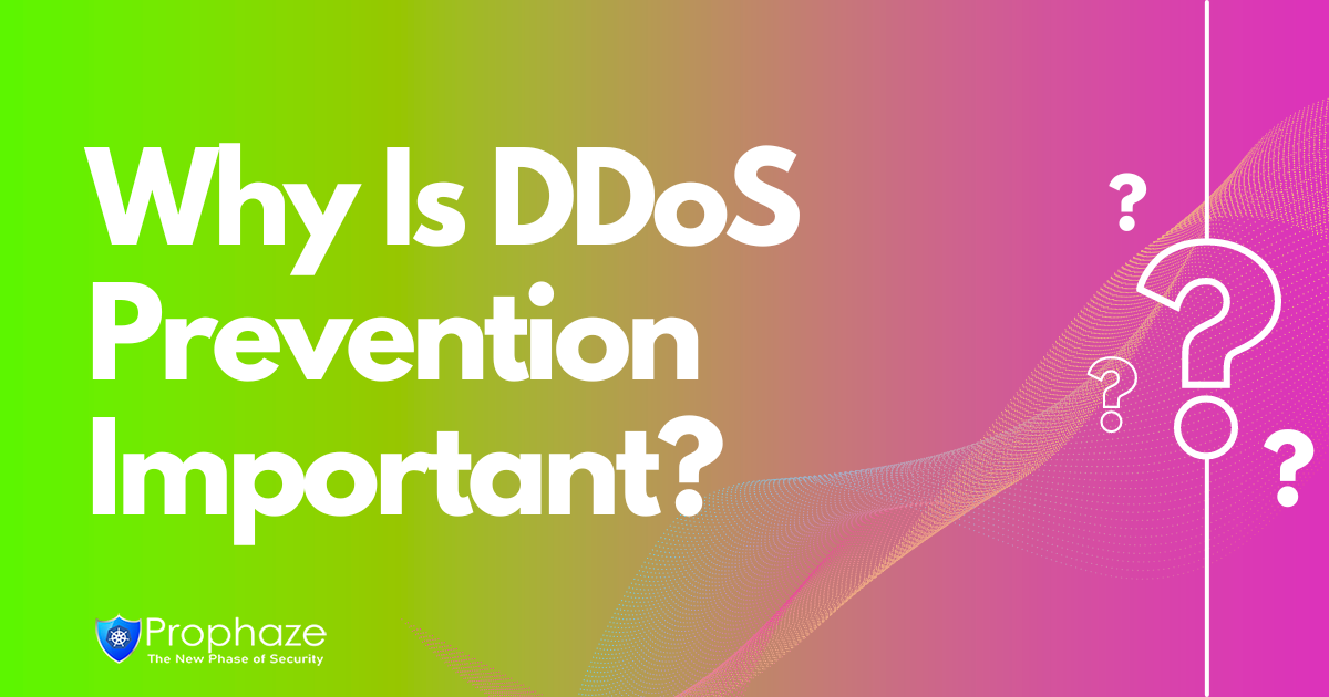Why Is DDoS Prevention Important?