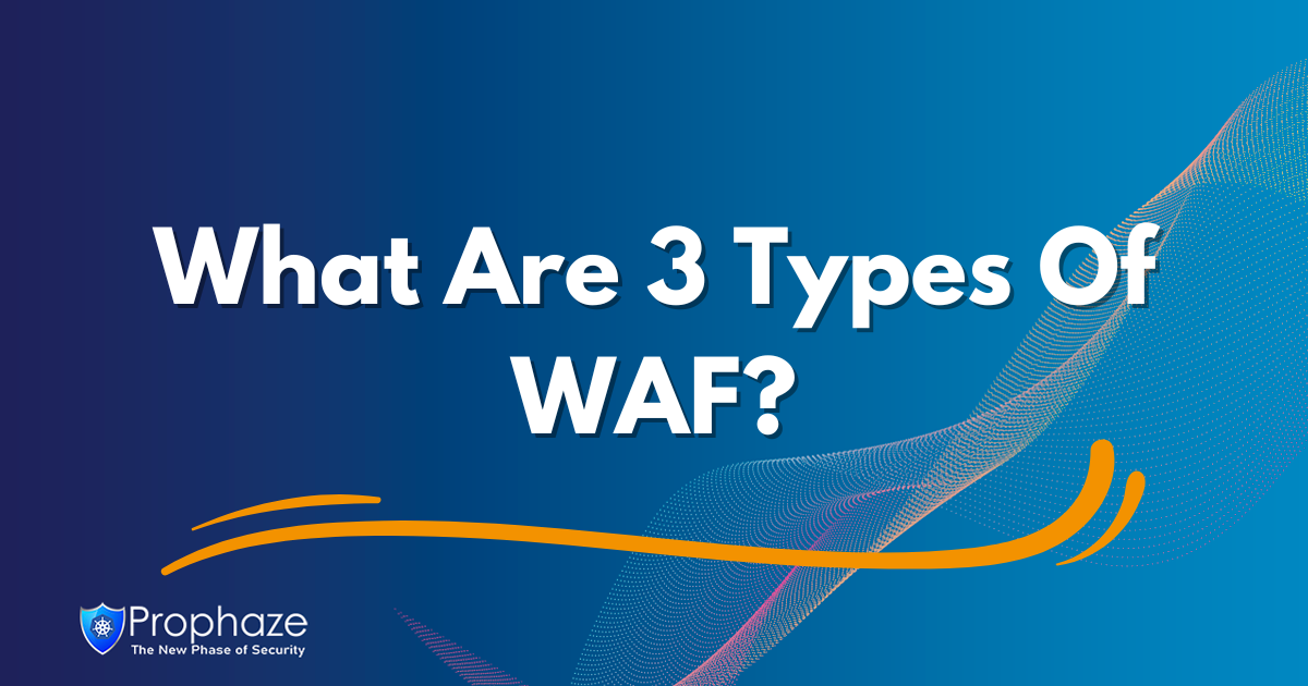 What Are 3 Types Of WAF?
