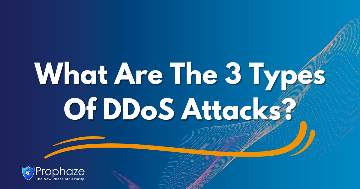 What Are The 3 Types Of DDoS Attacks?