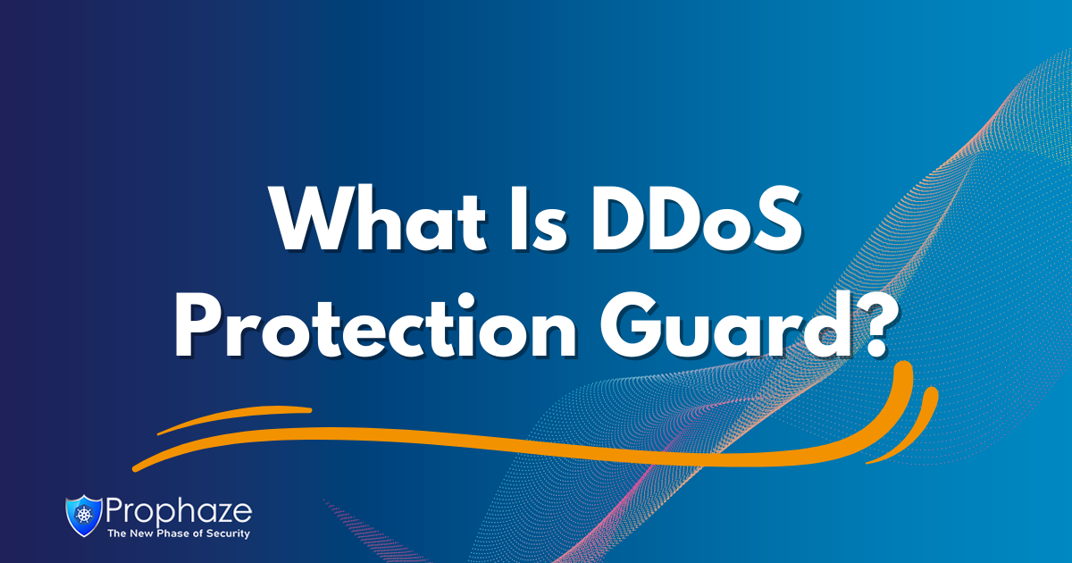 What Is DDoS Protection Guard?