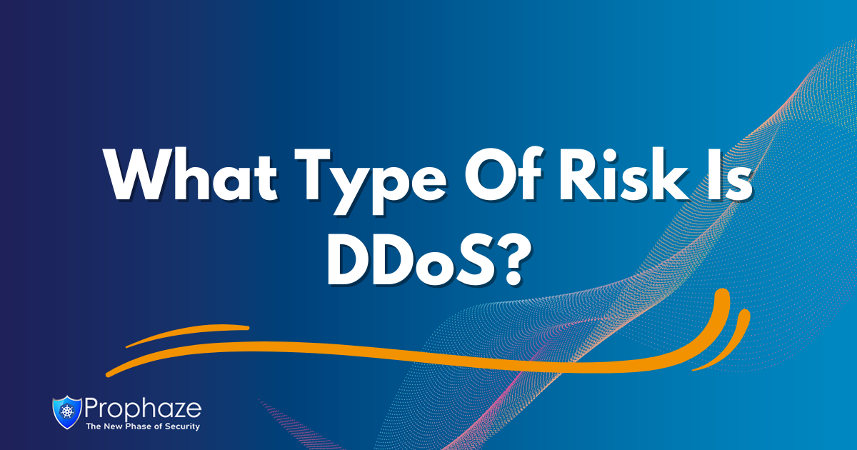 What Type Of Risk Is DDoS?