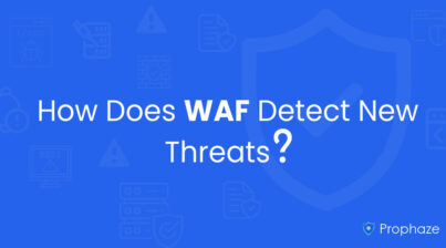 How Does WAF Detect New Threats
