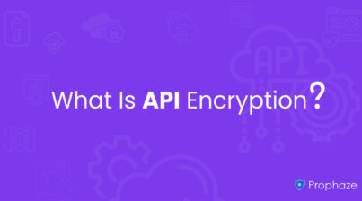 What Is API Encryption