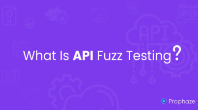 What Is API Fuzz Testing