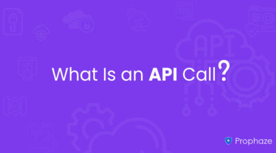 What Is an API Call