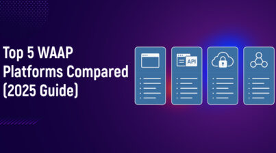Top 5 WAAP Platforms Compared (2025 Guide)