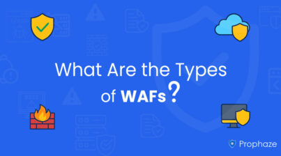 What Are the Types of WAFs